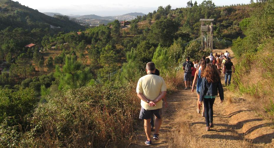 Environmental Education and Awareness